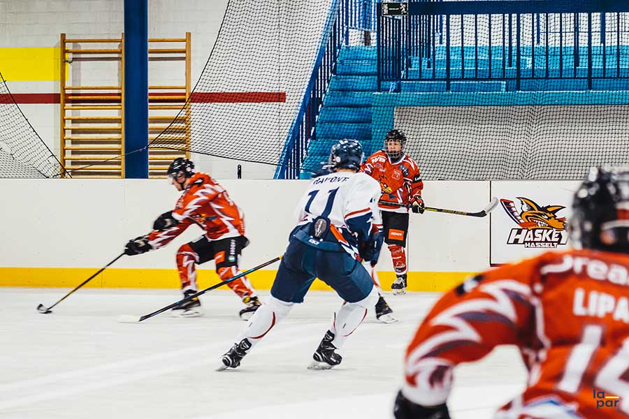 Haskey Hasselt kalender